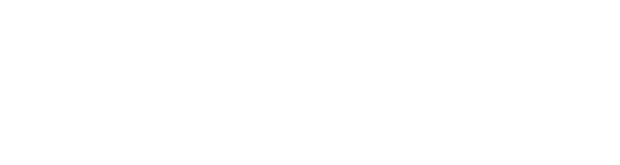 Lewis & Conger logo