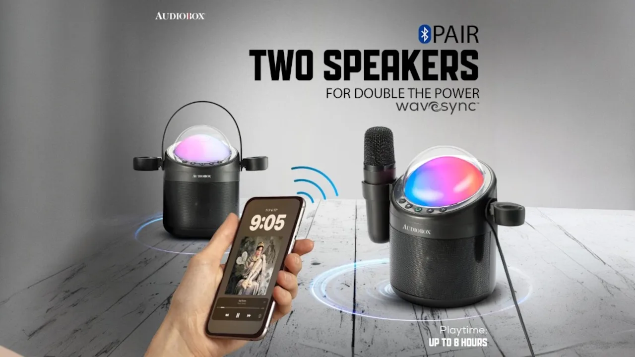 Audiobox Portable Karaoke Machine with 2 Wireless Microphones
