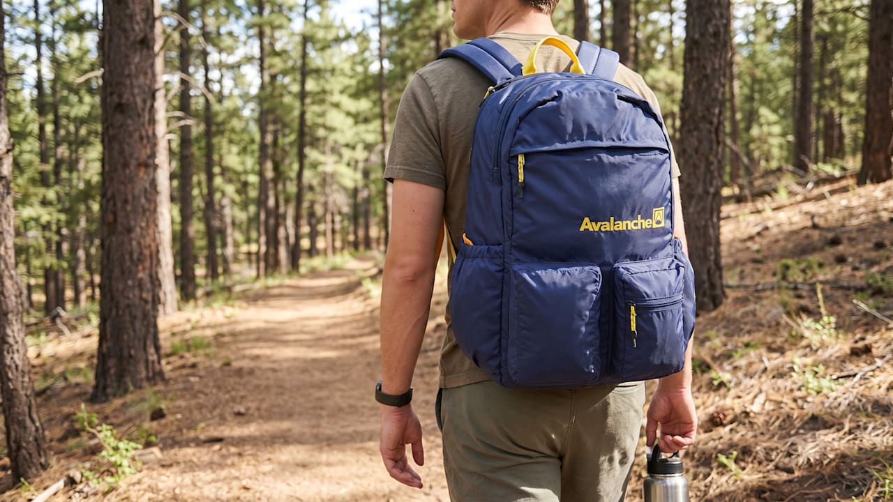 Avalanche Davis Backpack