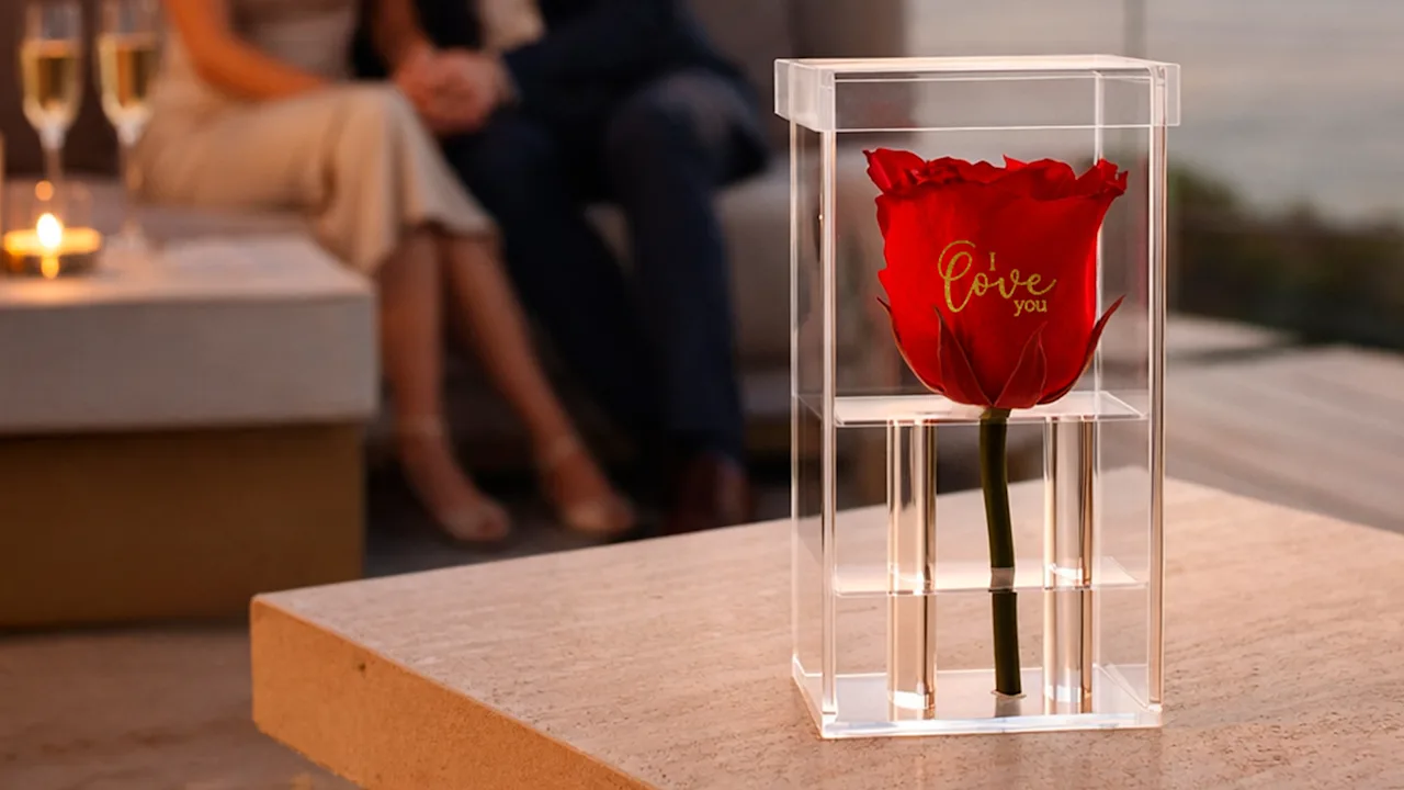The Crystal-Encased Preserved Rose