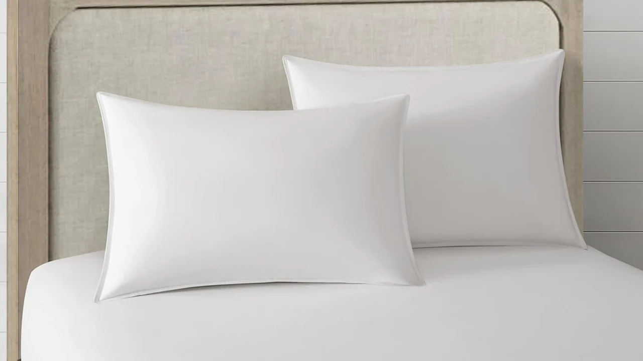 2-Pack: New York & Company Chic Duck Feather Cotton Pillows