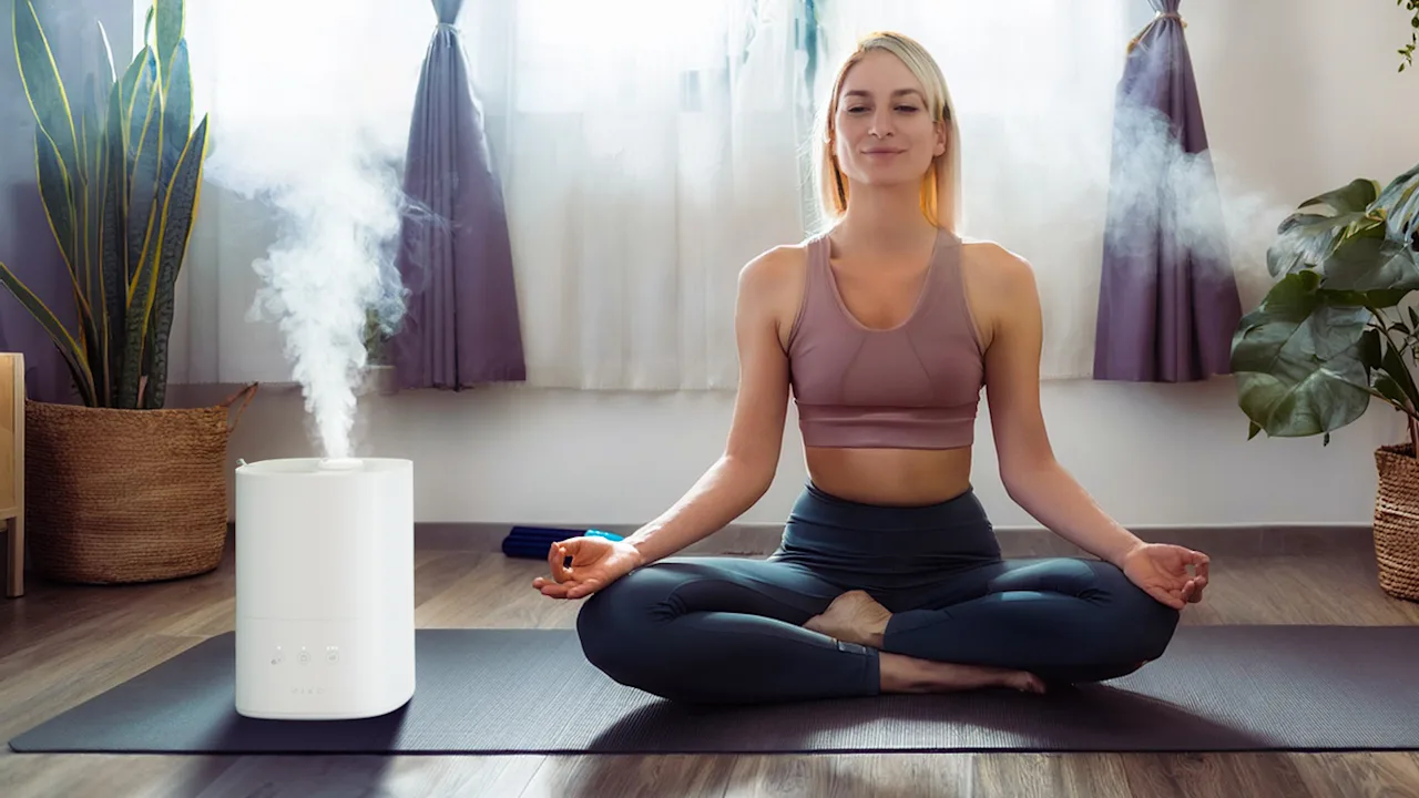 The Effortless Humidifier