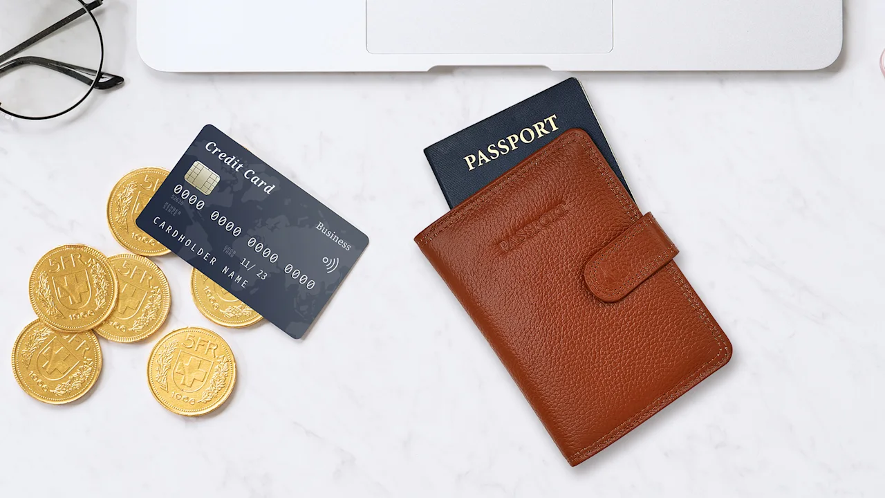 Steeltime Genuine Leather Passport Holder