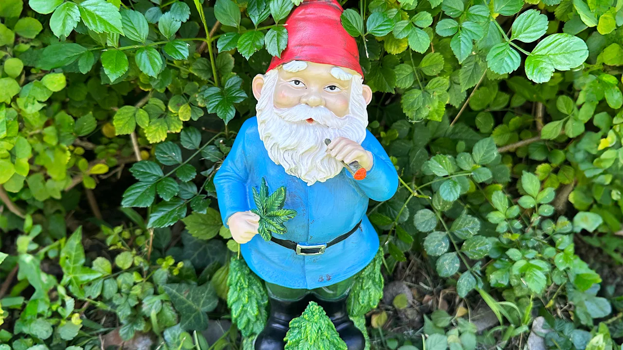 Exhart LED Smoking Gnome Statues