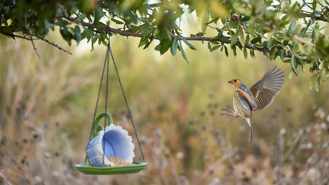 Plow & Hearth Floral Teacup Bird Feeder