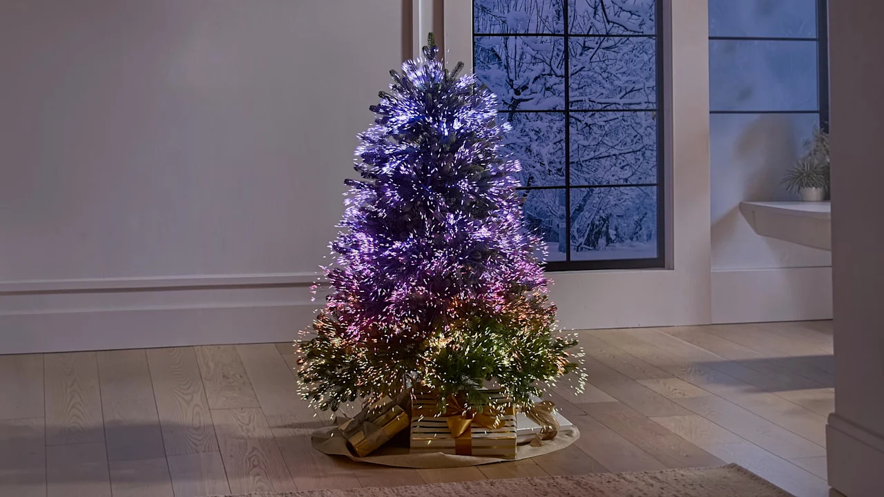 The Northern Lights Tree