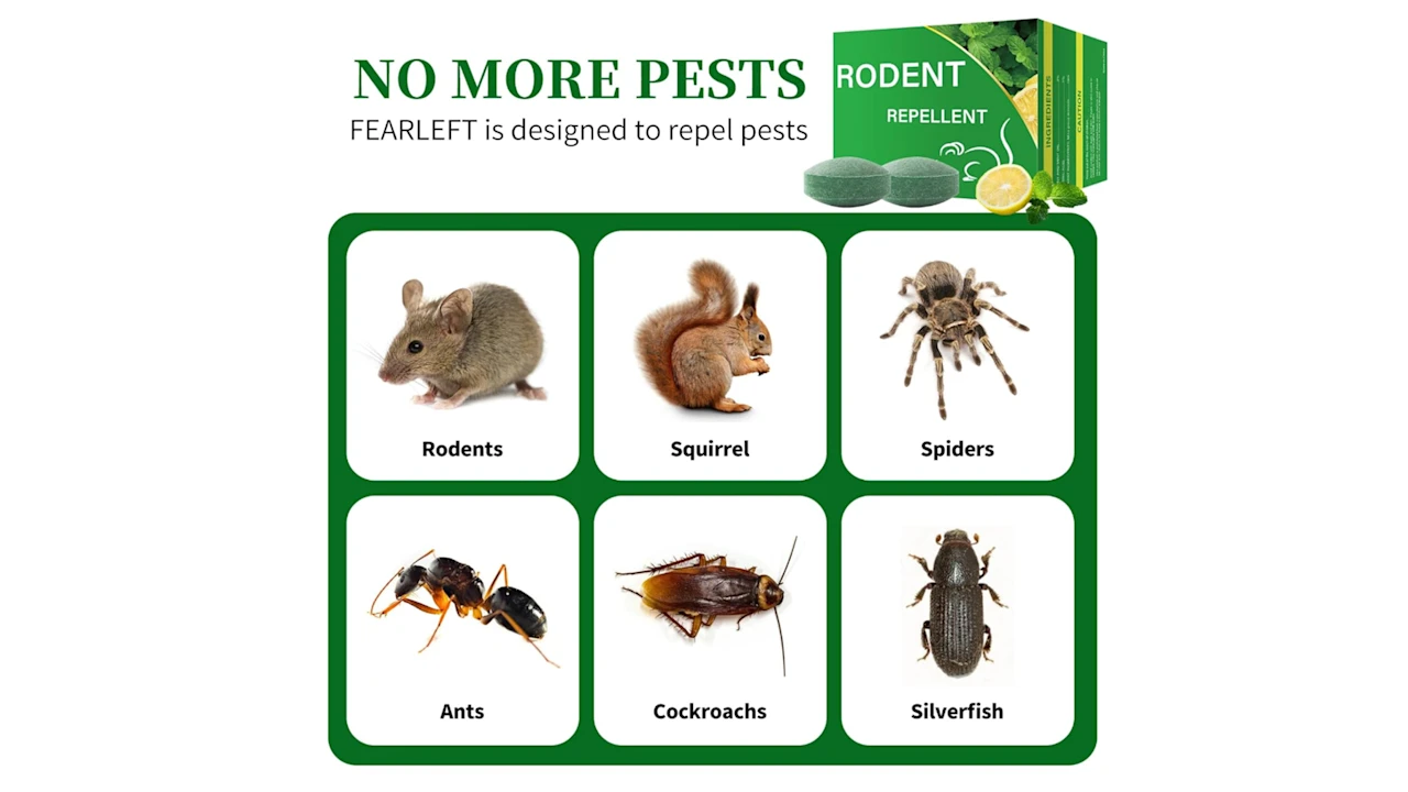 24-Pack: Peppermint Oil Rodent Repellent Balls