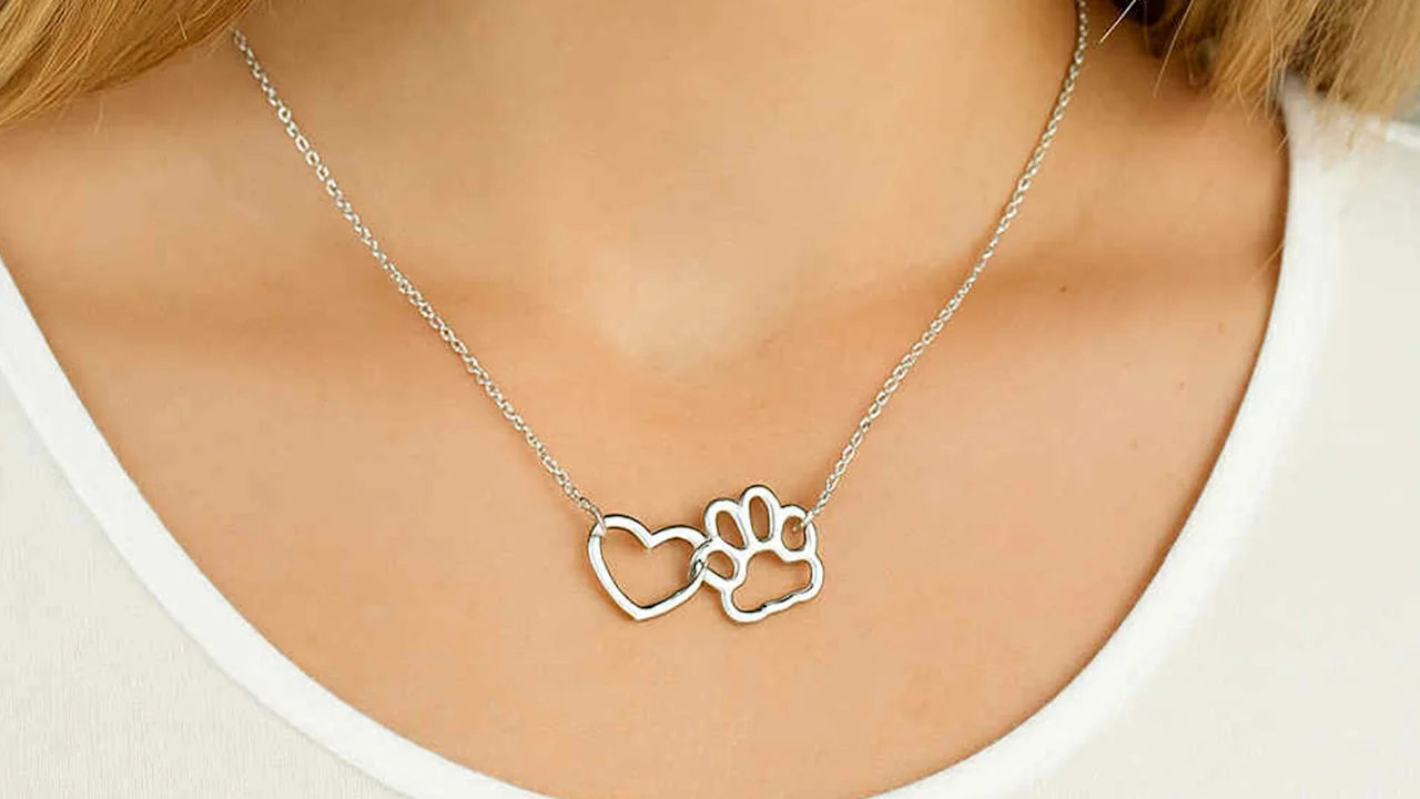 Hollywood Sensation Heart & Paw Necklace