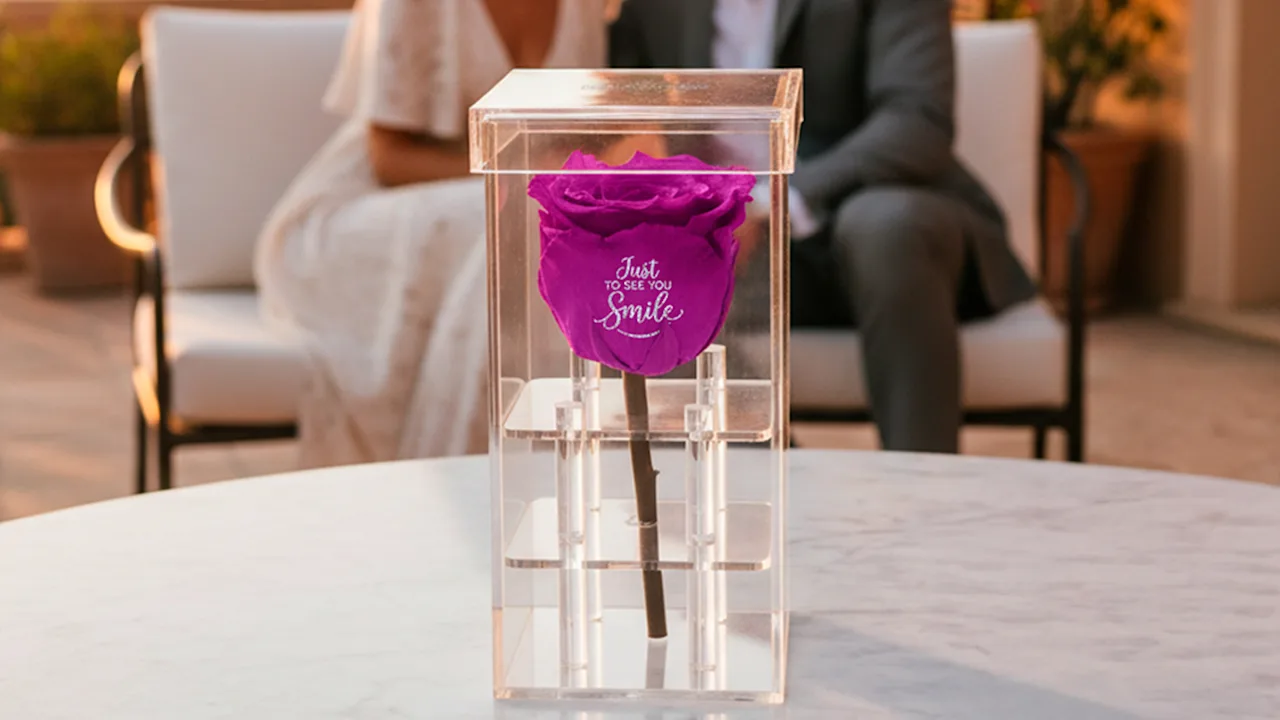 The "Just to See You Smile" Rose in Purple