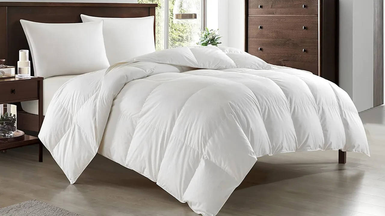 New York & Company Gianna King Down & Duck Feather Comforter