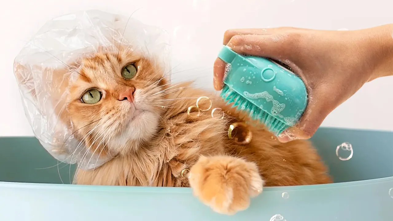 2-Pack: Furry Twinz Pet Bath Shampoo Dispensing 2-In-1 Scrubber & Massager Brush