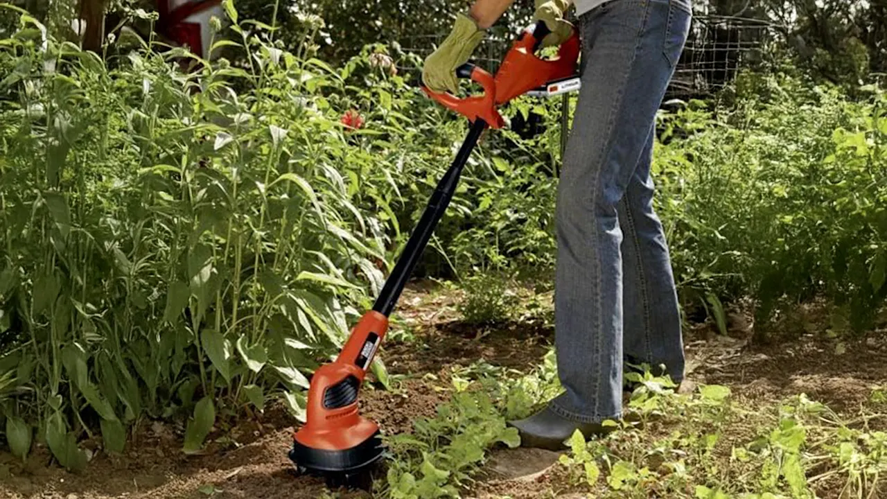 Black & Decker 20V MAX Tiller