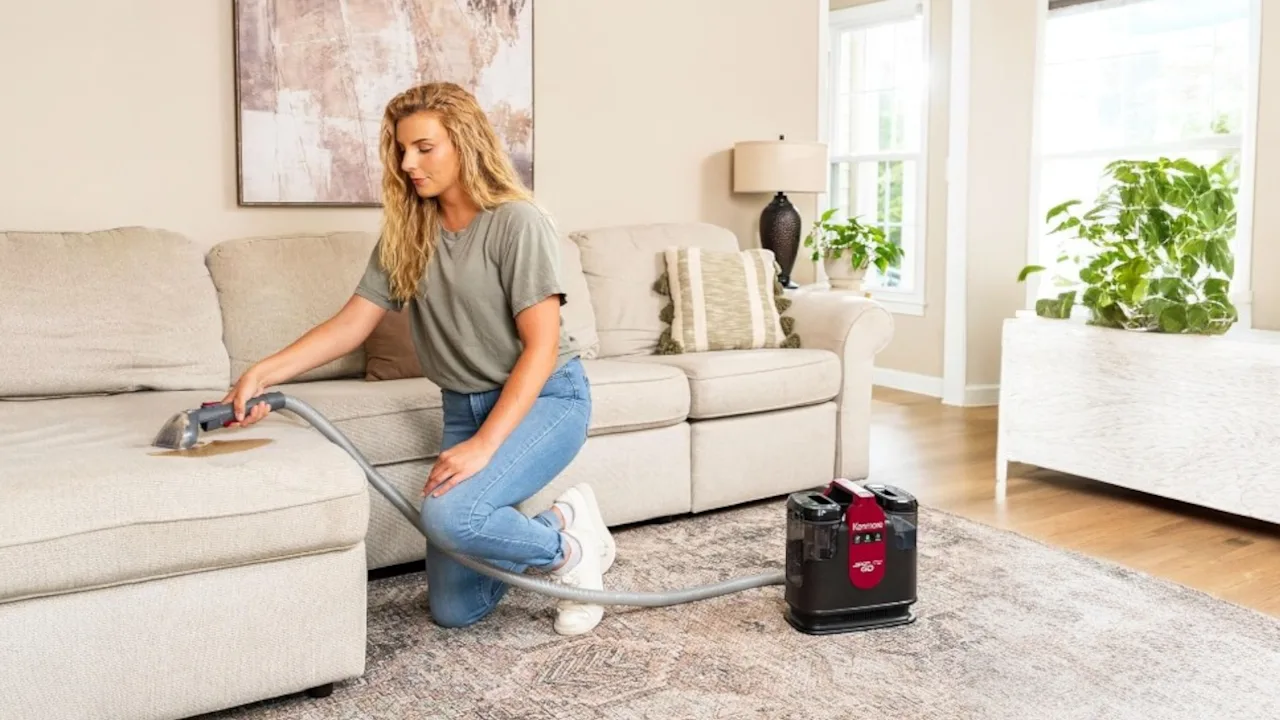 The Portable Spot Cleaner