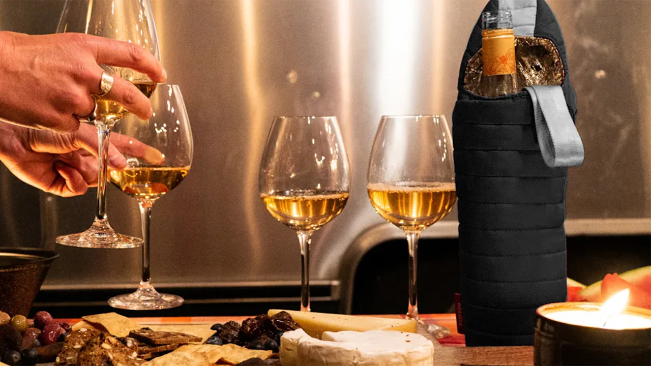 2-Pack: Puffin Insulated Wine Bottle Coolers