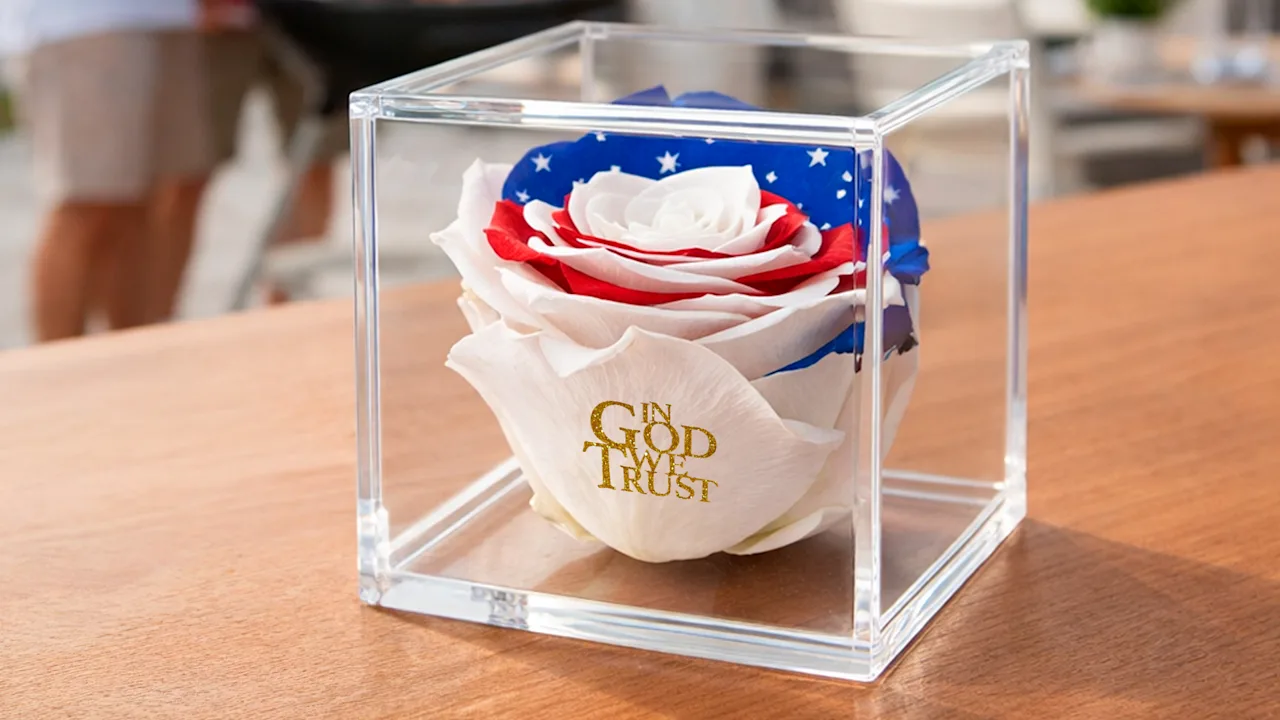 The Deluxe Stars & Stripes Preserved Rose