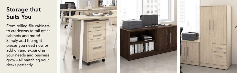 Vista Low Storage Cabinet with Doors and Shelves — panel 5