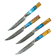 Seido Knives Serrated Steak Knife Set