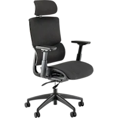 Align High Back Ergonomic Office Chair with Lumbar Support