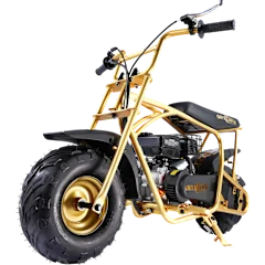 The Gold Limited-Edition Mini Bike
