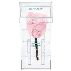 The "Happy Birthday" Rose in Pink