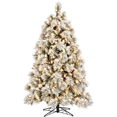 The 6½-Foot Snow-Dusted Pine