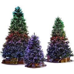 The Northern Lights Tree