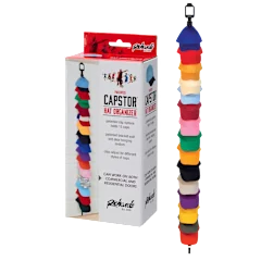 The Hanging Cap Organizer