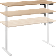 Energize 55W x 24D Electric Height Adjustable Standing Desk