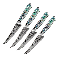 Seido Knives Executive Straight-Edge Steak Knife Set