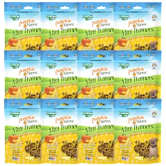 12-Pack: Emerald Pumpkin Harvest Mini Trainers