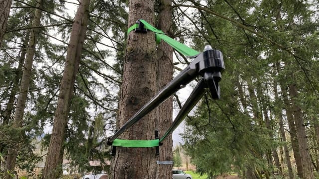 The Instant Tree Branch