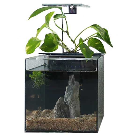 EcoQube Desktop Ecosystem: 2-Gallon Aquarium with Planter and LED Lights