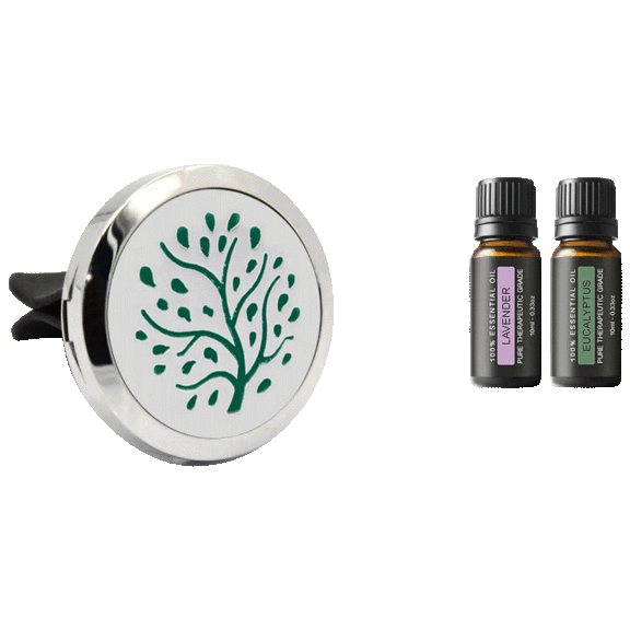 Aesthetics Naturals Aromatherapy Car Vent Diffuser with 2 Essential Oils