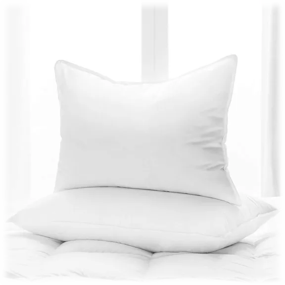 2-Pack: Vera Nice Aloe Vera Gel Pillow