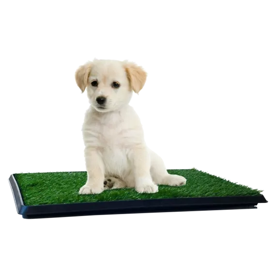 iPets Puppy Potty Trainer: The Indoor Restroom for Pets