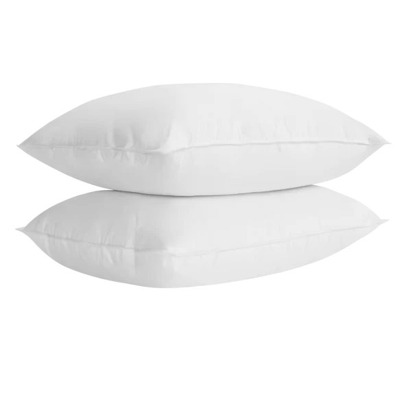 2-Pack: Park Hotel Collection 100% Down Pillow