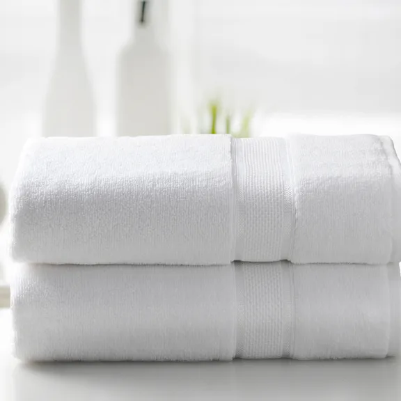 Kathy Ireland 2 or 4-Piece Zero Twist Cotton Plush Bath Sheet Set