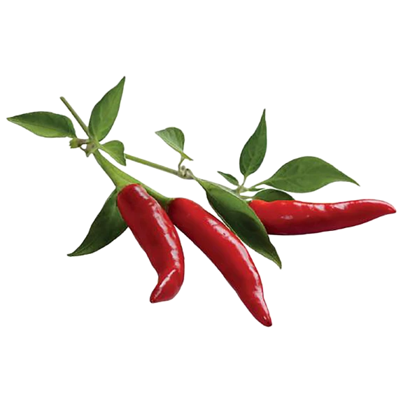 Click and Grow Chili Pepper Plant Pods
