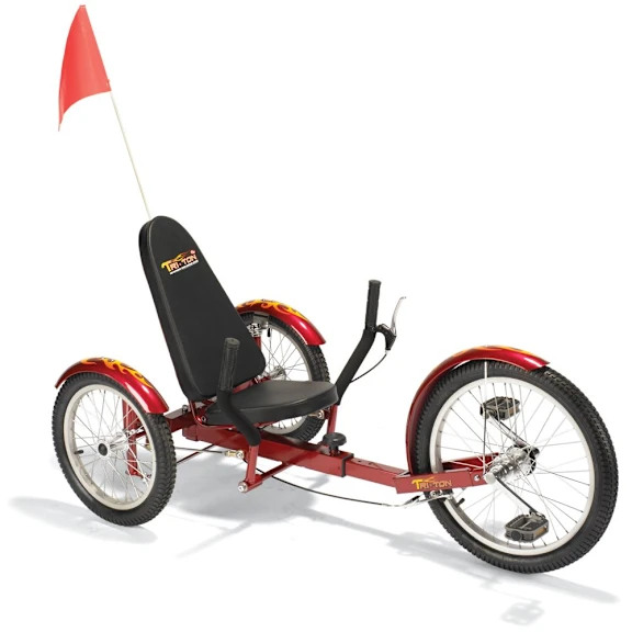 The Three-Wheeled Cruiser
