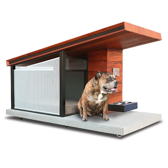 The Canine's Passive Solar Condominium