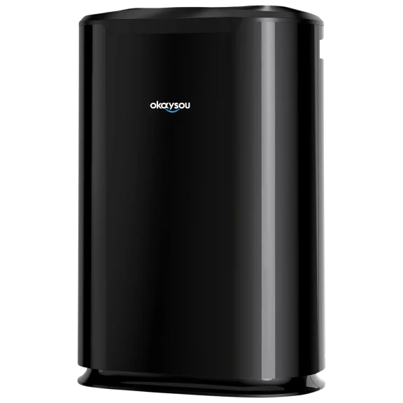 Okaysou Large Air Purifier