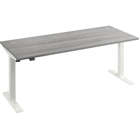 Move 40 Series 72W x 30D Electric Height Adjustable Standing Desk