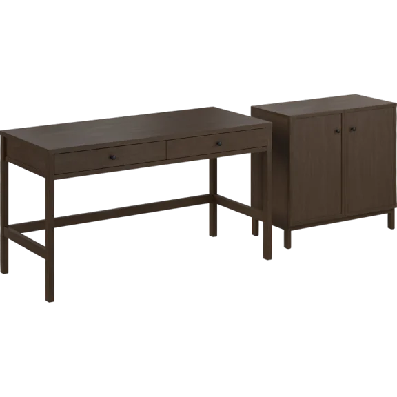 Bush Home Avery 54W Writing Desk and 2 Door Low Storage Cabinet