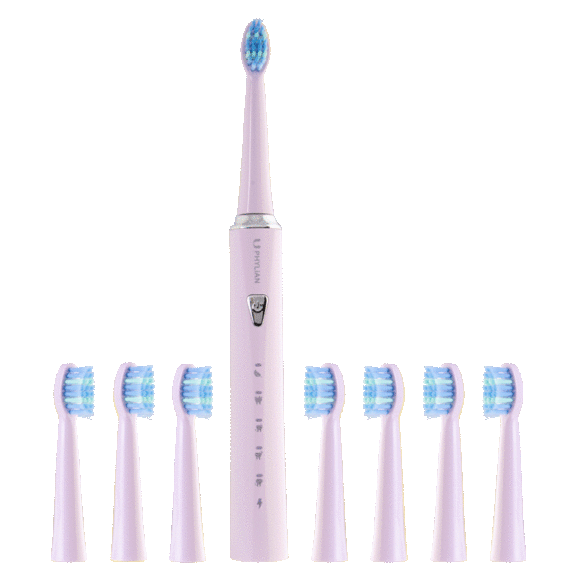 Phylian H7 Sonic Electric Toothbrush with 8 Brush Heads