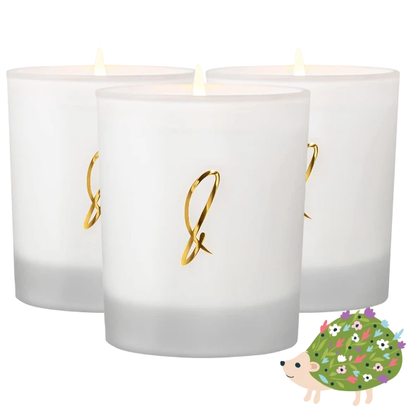 3-Pack: Craft & Kin All Natural Soy Wax Candles