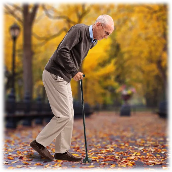 Safety Cane Foldable Support Cane