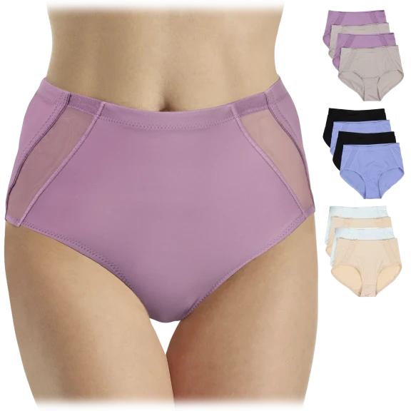 4-Pack: Rhonda Shear Mesh Detail Brief