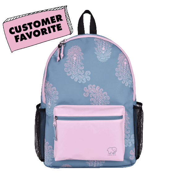 Pick-Your-2-Pack: Conair by Ivory Ella Backpacks