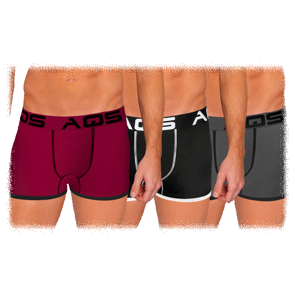 3-Pack: AQS Men's Threaded-Fitted Briefs