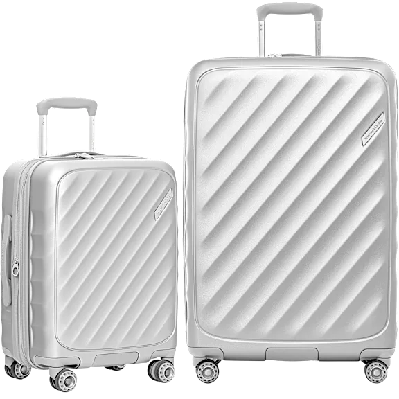 Traveler's Choice Elm 2-Piece Spinner Luggage Set